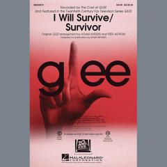 I Will Survive/Survivor von Gloria Gaynor (Download) 