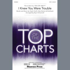 I Knew You Were Trouble von Taylor Swift (Download) 