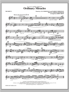 Ordinary Miracles von Barbra Streisand (Download) 