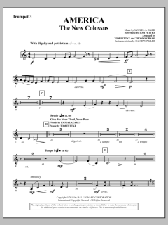 America - The New Colossus von Tom Fettke (Download) 