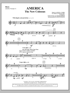 America - The New Colossus von Tom Fettke (Download) 