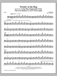 Twistin' At The Hop (Download) 