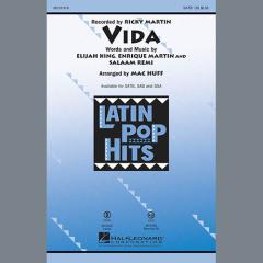 Vida von Ricky Martin (Download) 