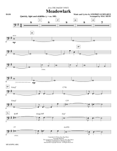 Meadowlark von Stephen L. Schwartz (Download) 