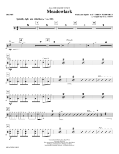 Meadowlark von Stephen L. Schwartz (Download) 