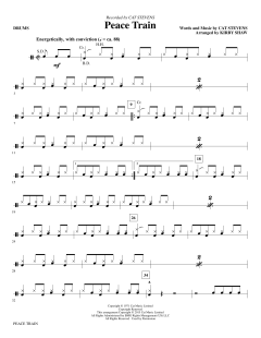 Peace Train von Cat Stevens (Download) 