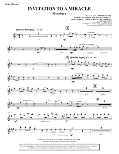 Invitation to a Miracle von Joseph M. Martin (Download) 