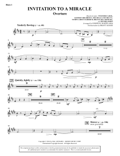 Invitation to a Miracle von Joseph M. Martin (Download) 