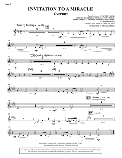 Invitation to a Miracle von Joseph M. Martin (Download) 