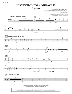 Invitation to a Miracle von Joseph M. Martin (Download) 