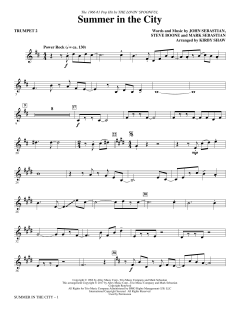 Summer In The City von The Lovin' Spoonful (Download) 