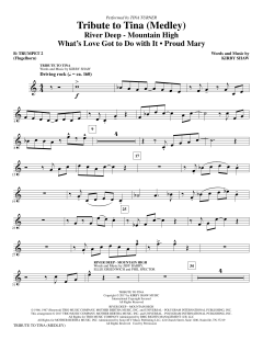 Tribute To Tina (Download) 