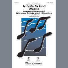 Tribute To Tina (Download) 