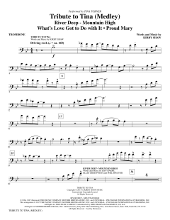 Tribute To Tina (Download) 