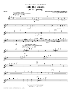 Into The Woods (Download) 