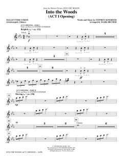 Into The Woods (Download) 