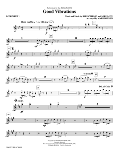 Good Vibrations von Beach Boys (Download) 