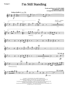 I'm Still Standing von Bernie Taupin (Download) 