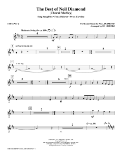 The Best of Neil Diamond (Download) 