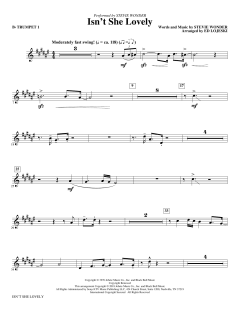 Isn't She Lovely? von Stevie Wonder (Download) 