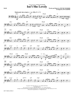 Isn't She Lovely? von Stevie Wonder (Download) 