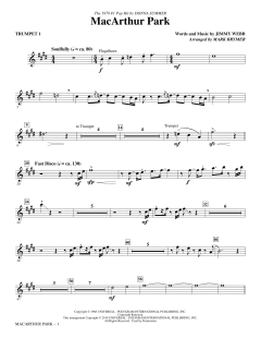 MacArthur Park von Donna Summer (Download) 