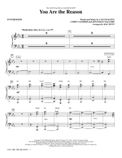 You Are the Reason von Calum Scott (Download) 