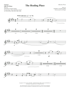 The Healing Place von Joseph M. Martin (Download) 