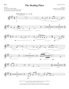 The Healing Place von Joseph M. Martin (Download) 