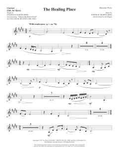 The Healing Place von Joseph M. Martin (Download) 