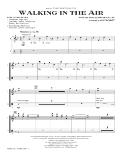 Walking In The Air von Howard Blake (Download) 