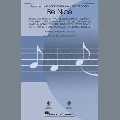 Be Nice (Download) 