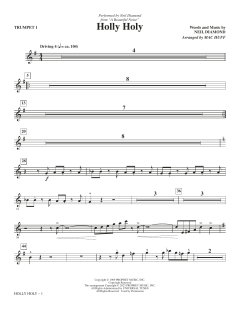 Holly Holy von Neil Diamond (Download) 