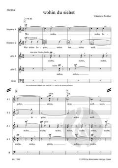 wohin du siehst von Charlotte Seither (Download) 