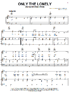 Only The Lonely (Know The Way I Feel) von Roy Orbison (Download) 