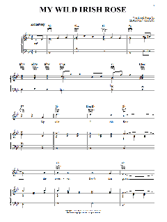 My Wild Irish Rose von Chauncey Olcott (Download) 