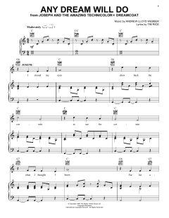 Any Dream Will Do von Andrew Lloyd Webber (Download) 