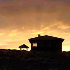 House Of The Rising Sun von The Animals (Download) 