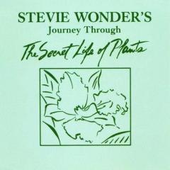 Power Flower von Stevie Wonder (Download) 