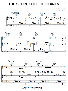 The Secret Life Of Plants von Stevie Wonder (Download) 