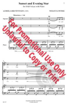 Sunset and Evening Star von Wesley Peters 