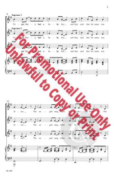 The virgin Mary had a baby boy 