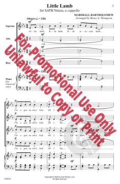 Little Lamb von Marshall Bartholomew 