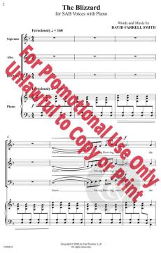 The Blizzard von David Farrell Smith 