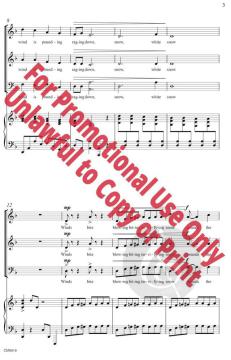 The Blizzard von David Farrell Smith 