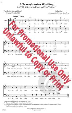 A Transylvanian Wedding 