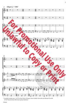 A Transylvanian Wedding 