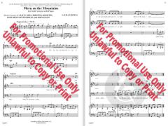 Morn on the Mountain von Laura Farnell 