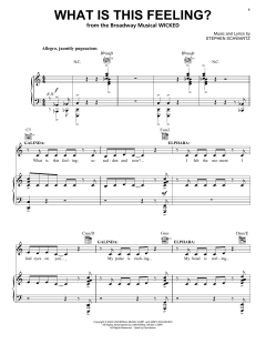 What Is This Feeling? von Stephen Schwartz (Download) 