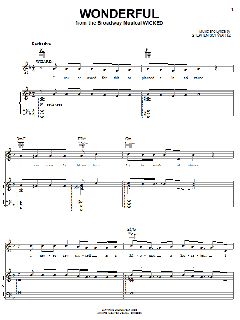 Wonderful von Stephen Schwartz (Download) 